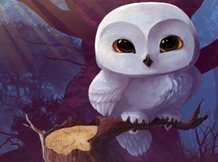 White Owl - brown, animals, bird, owl, eyes