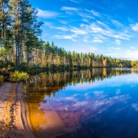 Autumn Reflection