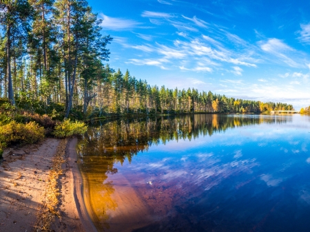 Autumn Reflection - autumn, trees, landscape, shore, nature, forest, reflection, clouds, river