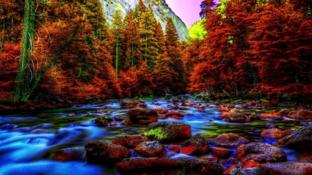 Yosemite at Autumn - forest, fall, water, creek, stones, leaves, season, trees, nature, autumn