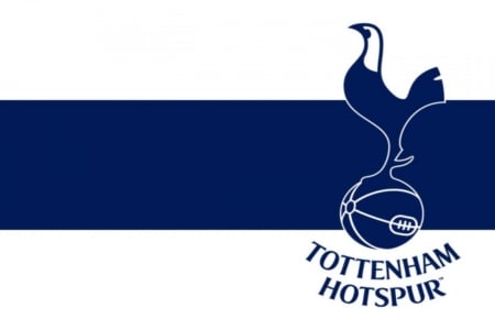 tottenham hotspur - league, hotspur, tottenham, soccer, premier