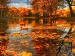 Autumn River