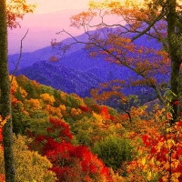 Smoky Mountains at Fall