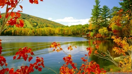 Autumn Lake - nature, lake, autumn, trees