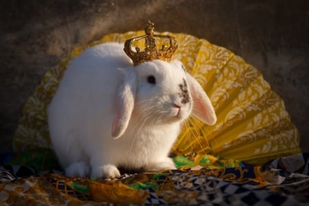 Bunny - animal, fan, rodent, white, rabbit, hand fan, crown, golden, bunny