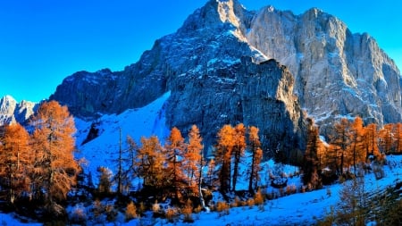 Slovenia Snow Mountain - nature, mountain, trees, snow