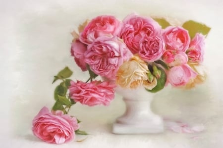 Roses - white, flower, rose, pink, vase, trandafir, still life