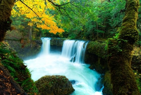 Spirit Falls - forest, cool, river, waterfall, fun, nature