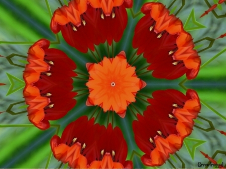 FLOWER KALEIDOSCOPE - FLOWER, FRACTAL, ABSTRACT, KALEIDOSCOPE