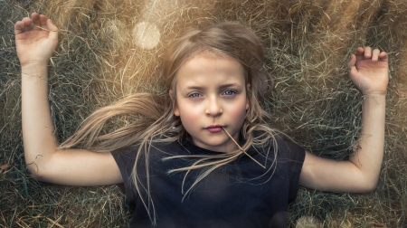 Late haymaking season - john wilhelm, girl, hay, summer, copil, child