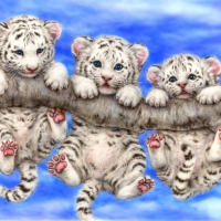 Cute white tiger cubs