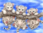 Cute white tiger cubs