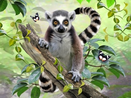 Lemur - black, animal, summer, funny, selfie, green, butterfly, luminos