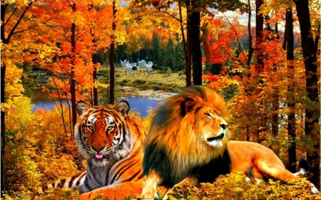 LION AND TIGER - big cats, leaves, colors, autumn