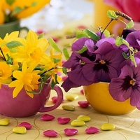 Purple Yellow Cup of Flowers