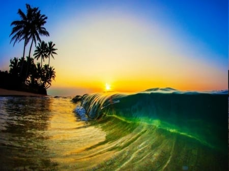 Sunset and waves - beach, palm trees, sunlight, sunset, waves