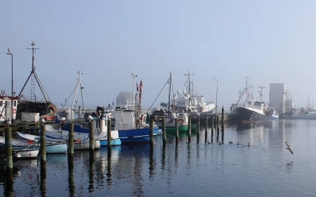 Port - mornind, boats, ships, seagull, port