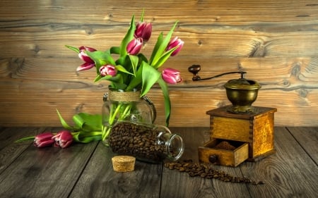 Coffee and Tulips