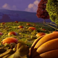 Pumpkin Patch at Dusk