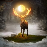 Moonlit Deer in Winter