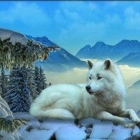 SNOW WOLF