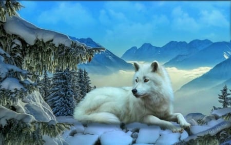 SNOW WOLF - Photo Manipulations Wallpapers and Images - Desktop Nexus