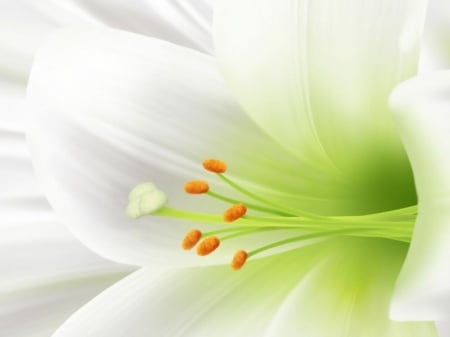 Lily - flowers, cool, lily, photography