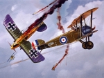 Battle in The Skies