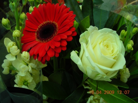 Lovely Bouquet - flowers, nature, yellow, red, rose, bouquet, gerbera