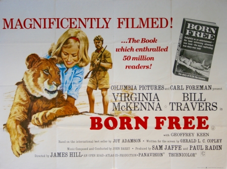 born free - free, lioness, elsa, born