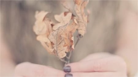 in my hand - hand, nature, leaf, woman