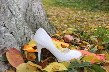 Cinderella shoes - shoes, Autumn, nature, beautiful