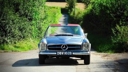 1964 Mercedes-Benz 230 SL Pagoda 2300cc - Car, Pagoda, Sports, Mercedes, 230SL, Convertible, Old-Timer, Benz, 2300cc