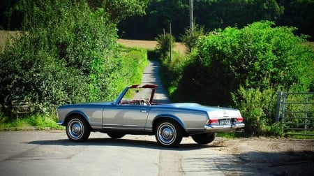 1964 Mercedes-Benz 230 SL Pagoda 2300cc - Car, Pagoda, Sports, Mercedes, 230SL, Convertible, Old-Timer, Benz, 2300cc