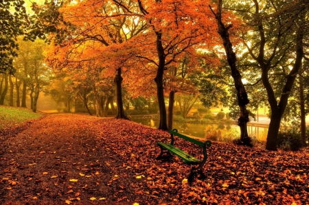 Autumn-Park - nature, park, tree, autumn