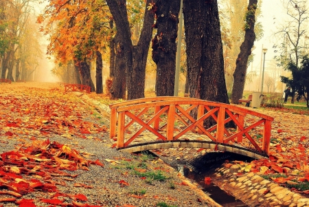 Bridge-in-Autumn-Park - park, autumn, bridge, in