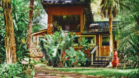 House - home, tree, wood, House