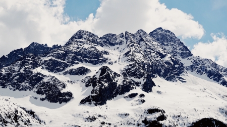 Mountain - winter, nature, tree, mountain