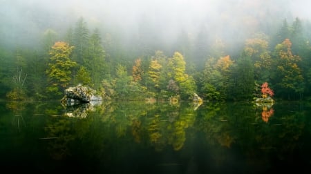 Lake reflection - water, Nature, grass, Lake, reflection, tree