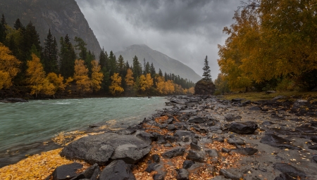 Wonderful autumn - river, clouds, tree, autumn