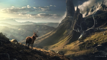 Deer - skull, deskptopography, bones, wesley desouza, deer, fantasy, horns, art, luminos, animal