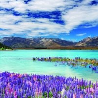 Lake Mountains,New Zealand