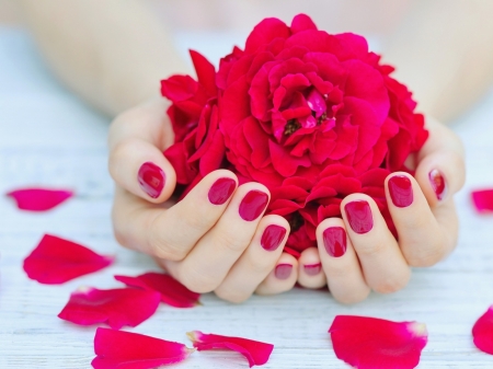 â™¥ - hands, flower, petals, soft