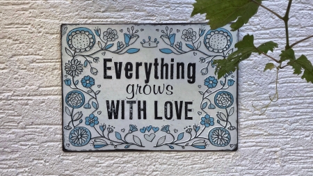 Love - white, card, quote, word, plant, love, blue, green