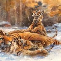 Tigers