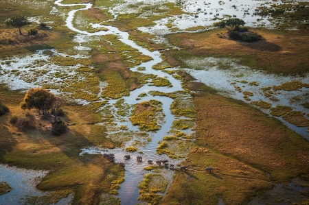 Africa's Okavango Delta - Africa, Nature, Wildlife, Rivers, Deltas, Deserts, Elephants