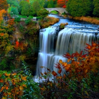 Autumn Webster's falls