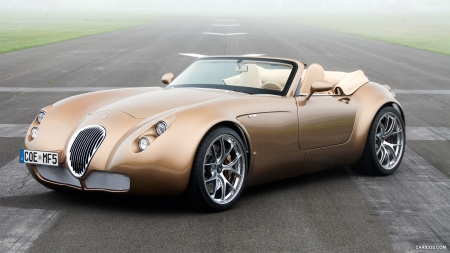 Wiesmann Roadster MF5 (2011) - sports, wiesmann, car, mf5, roadster