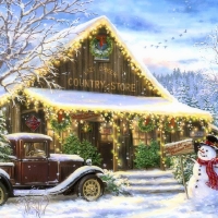 Snowy Country Store