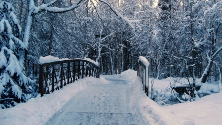 snowfall on the Bridge - winter, forrest, bridge, snow